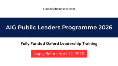 AIG Public Leaders Programme 2026 Oxford Leadership Training for Africans