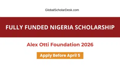 Alex Otti Foundation Scholarship 2026