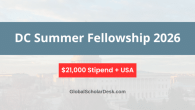 DC Summer Fellowship 2026