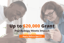 APF Visionary Grants Application 2026