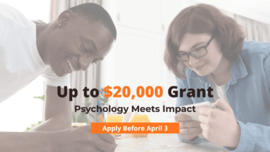 APF Visionary Grants Application 2026