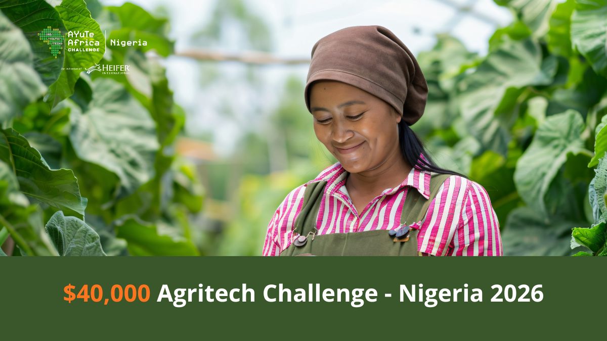 AYuTe Africa Challenge Nigeria 2026 $40,000 agritech funding for youth entrepreneurs