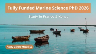 Fully funded IRD ARTS PhD Bursary in Marine Science 2026 application France and Kenya