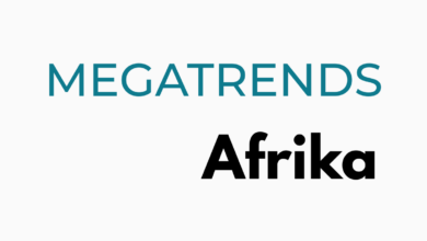 Megatrends Afrika Fellowship 2026 Germany for African Researchers