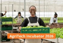 Pan-African Incubation Network 2026
