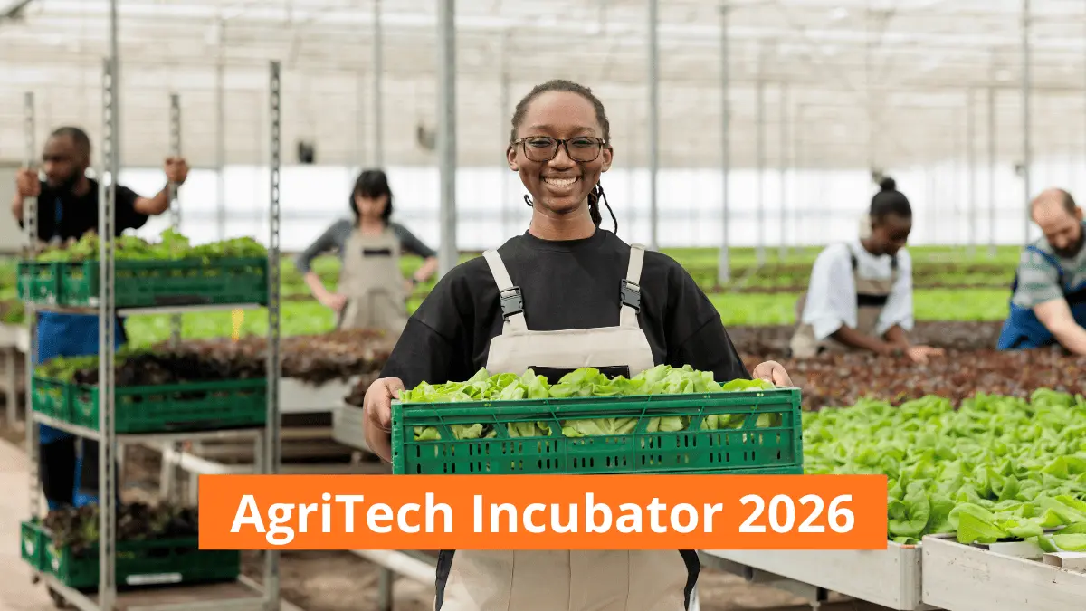 Pan-African Incubation Network 2026