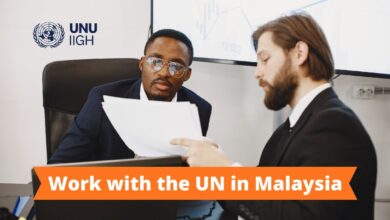 UNU-IIGH Global Health PhD Fellowship 2026