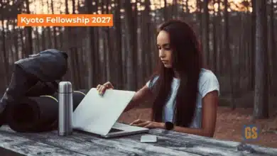 CSEAS Fellowship 2027