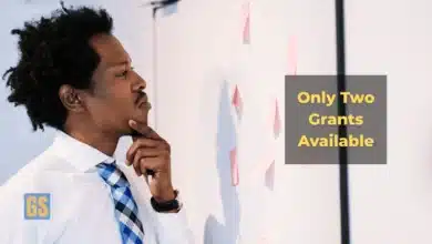 Dr. Catherine Wang Seed Fund Grants in Global Health 2026