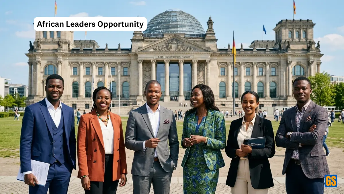 German Bundestag IPS Africa Scholarship 2026