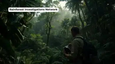 Rainforest Investigations Network Fellowship 2026