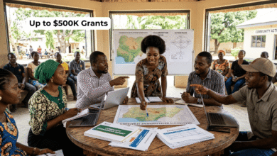 West Africa Democracy Fund 2026