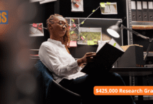 William T Grant Scholars Program 2026