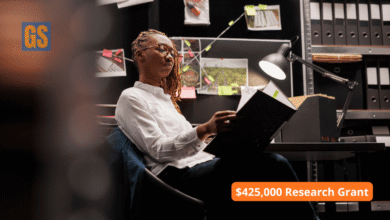 William T Grant Scholars Program 2026