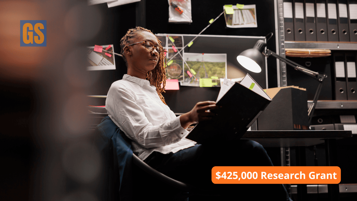 William T Grant Scholars Program 2026